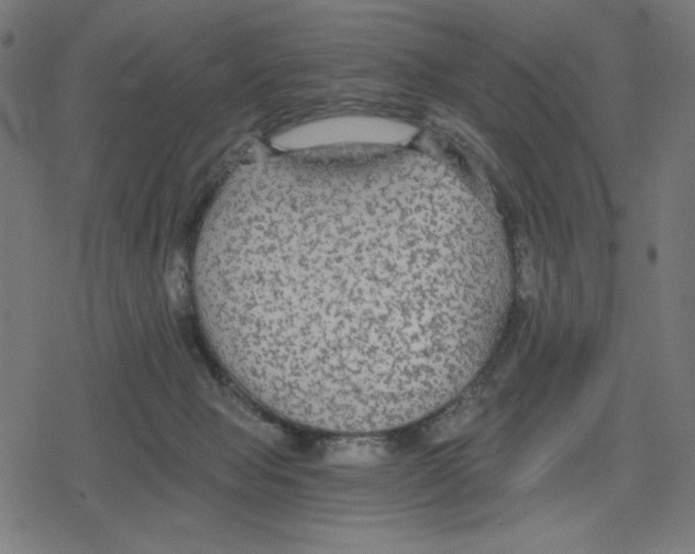 X0000078280077200612011755