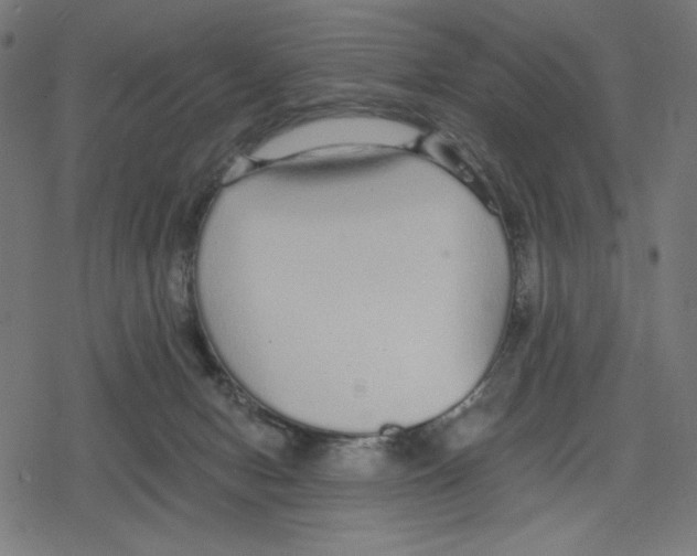 X0000078280078200612011755