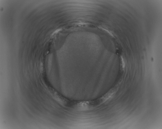 X0000078280080200612011755