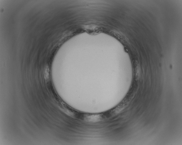 X0000078280081200612011755