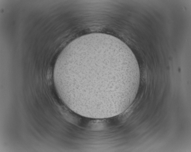 X0000078280082200612011755