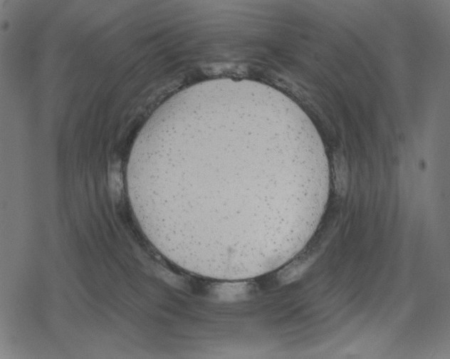 X0000078280085200612011755