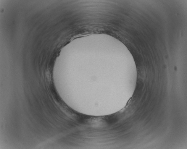 X0000078280086200612011755