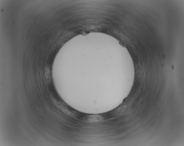 X0000078280087200612011755