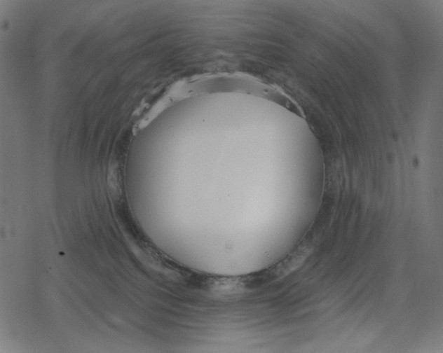 X0000078280088200612011755