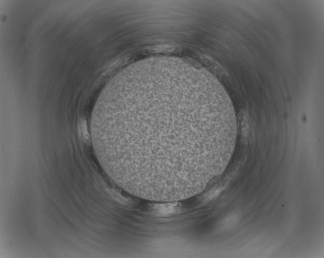 X0000078280089200612011755