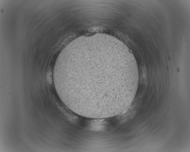 X0000078280090200612011755