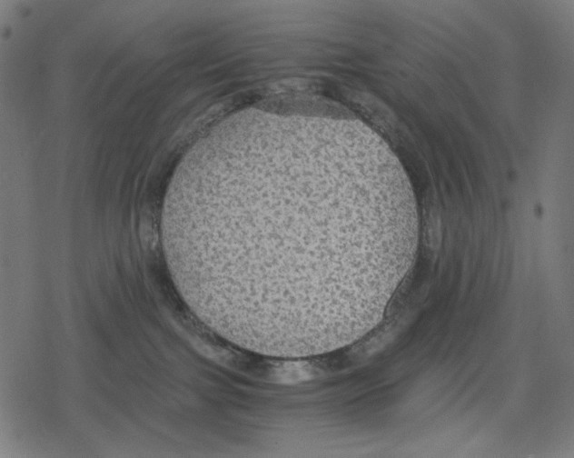 X0000078280091200612011755