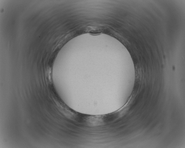 X0000078280094200612011755