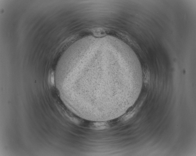 X0000078280095200612011755