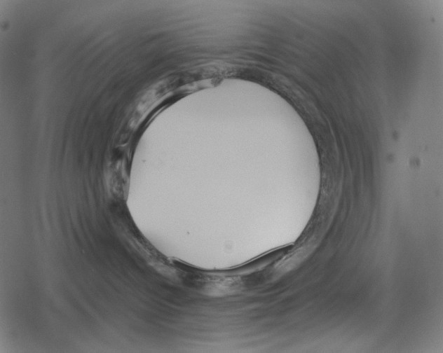 X0000078280096200612011755