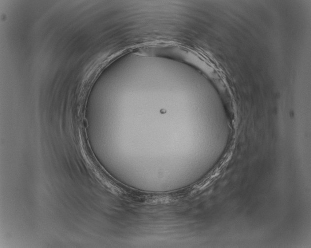 X0000078280097200612011754