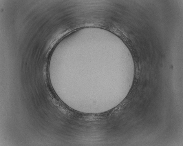 X0000078280098200612011754