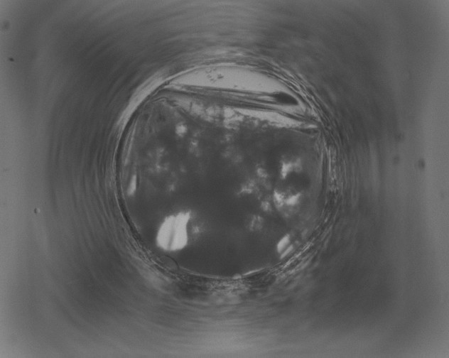 X0000078280099200612011754