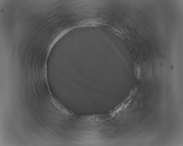 X0000078280100200612011754