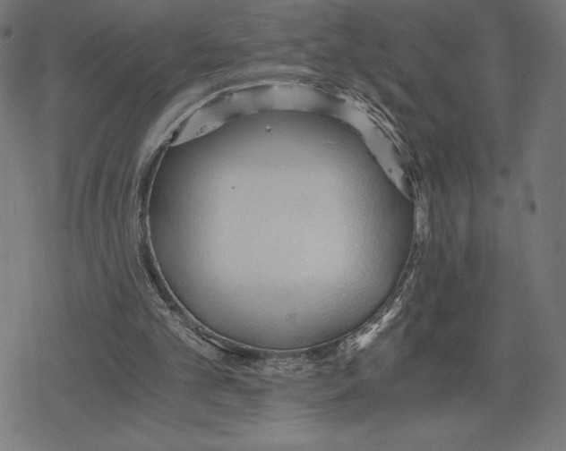 X0000078280101200612011754