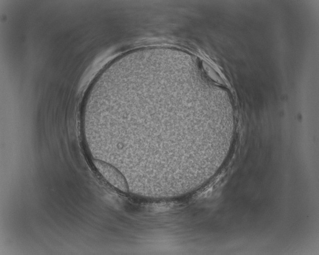 X0000078280103200612011754