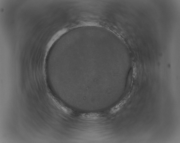 X0000078280104200612011754