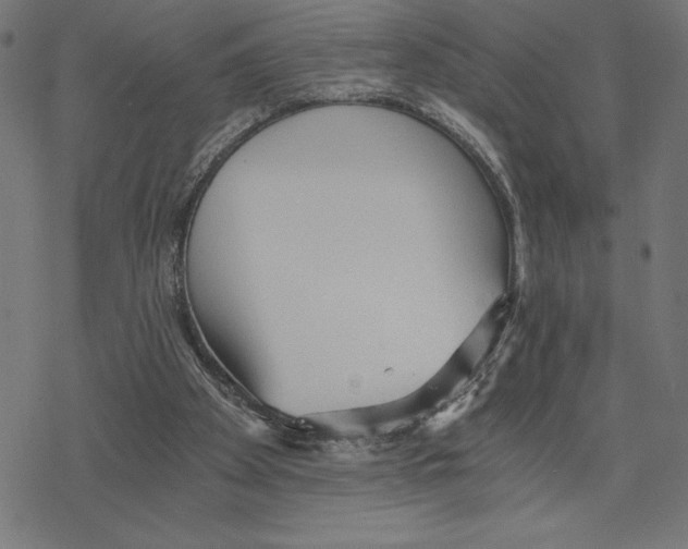 X0000078280105200612011754