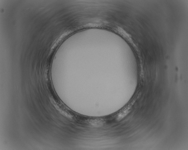 X0000078280106200612011754