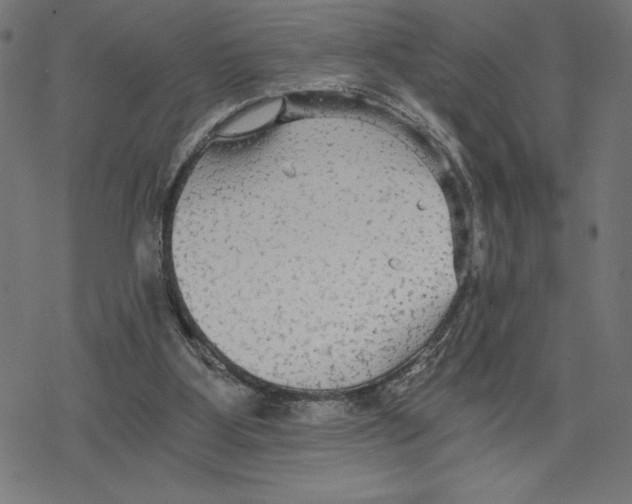 X0000078280107200612011754