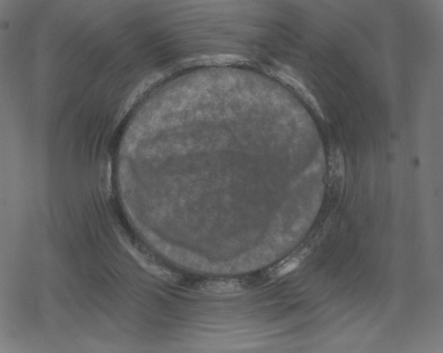 X0000078280110200612011754