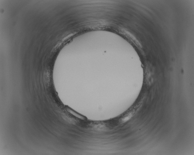 X0000078280113200612011754