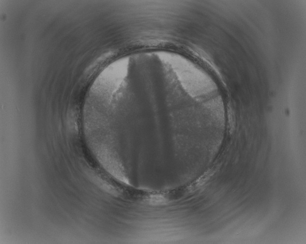 X0000078280114200612011754