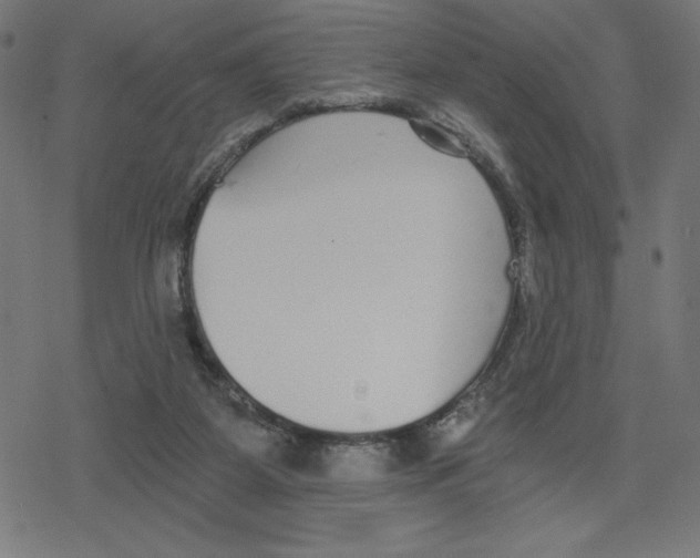 X0000078280115200612011754