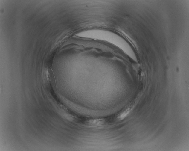 X0000078280117200612011754