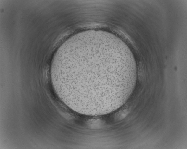 X0000078280119200612011754