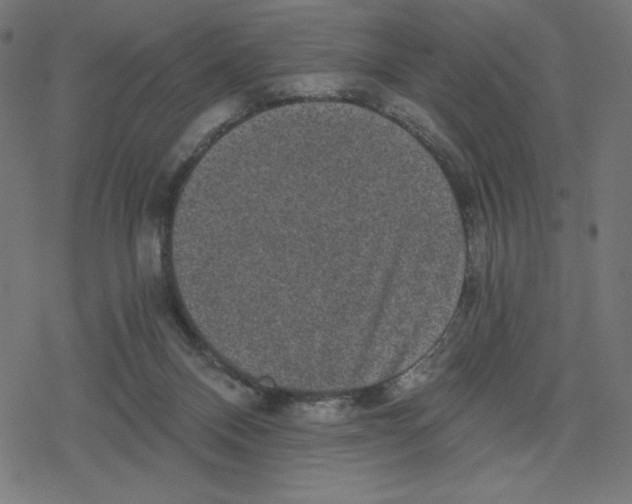 X0000078280120200612011754