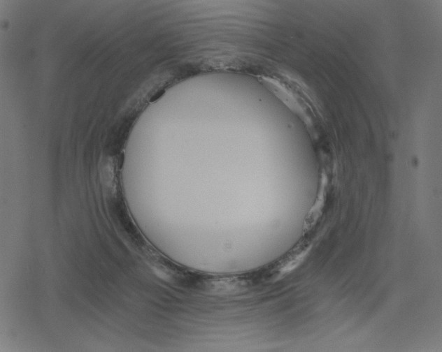 X0000078280121200612011754