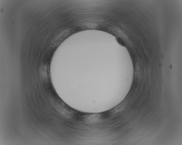 X0000078280122200612011754