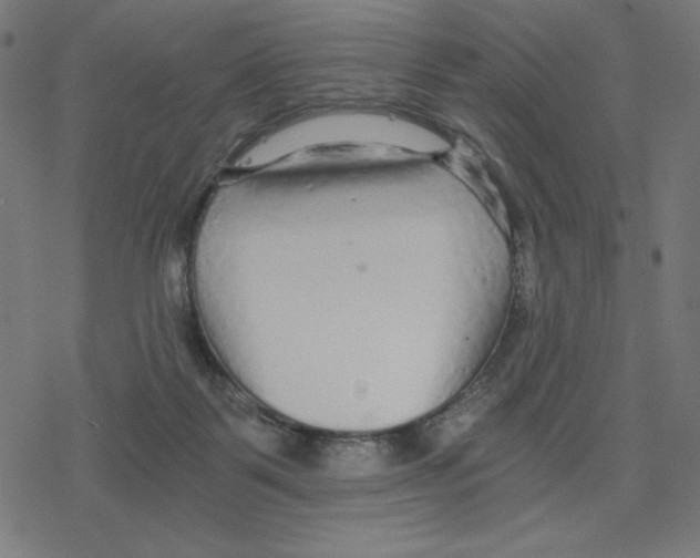 X0000078280123200612011754