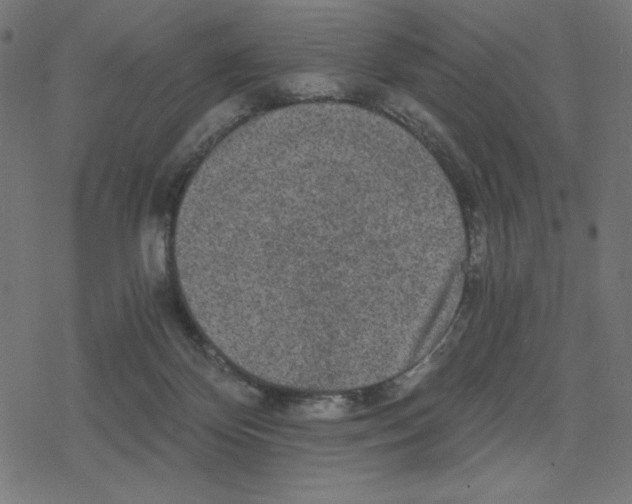 X0000078280124200612011754