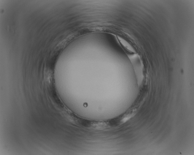 X0000078280125200612011754