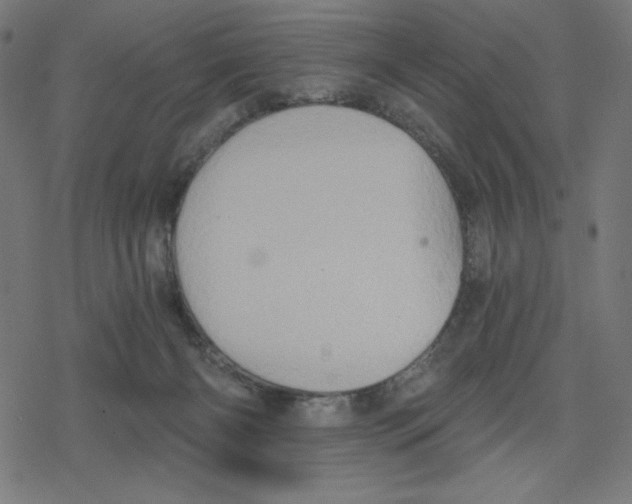 X0000078280126200612011754