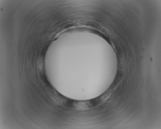 X0000078280129200612011754