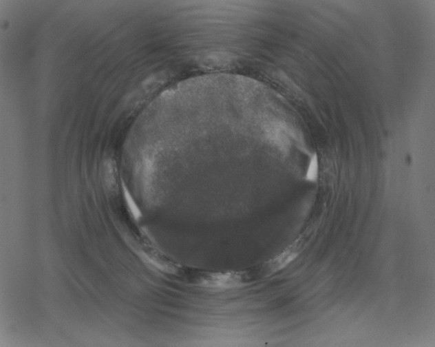 X0000078280130200612011754