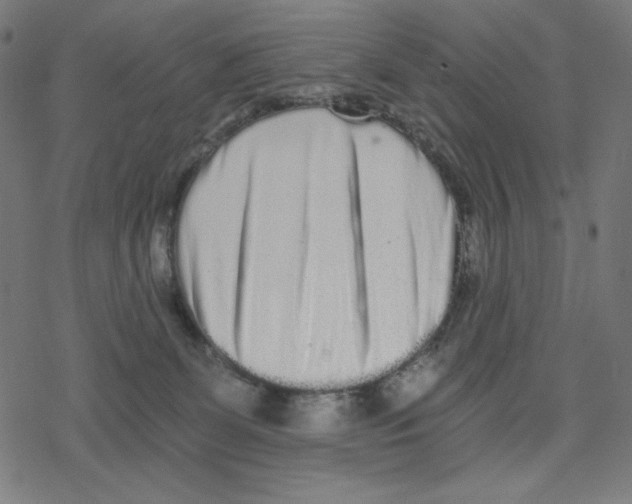 X0000078280131200612011754