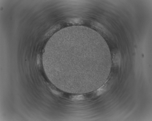 X0000078280132200612011753