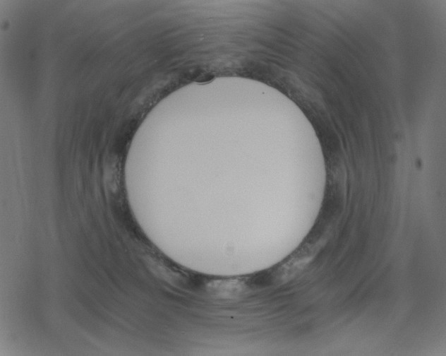 X0000078280133200612011753