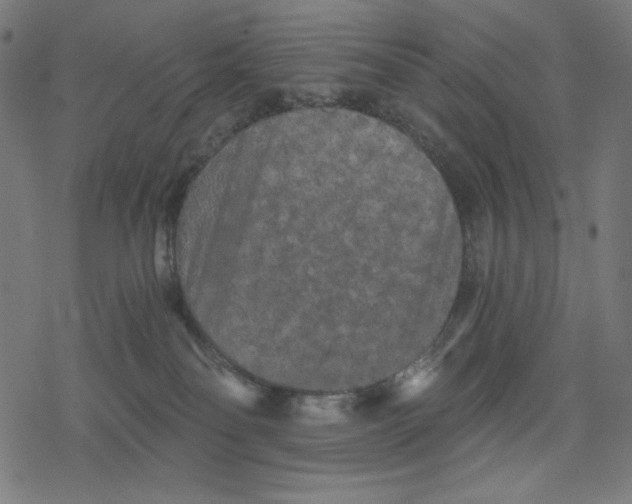 X0000078280134200612011753