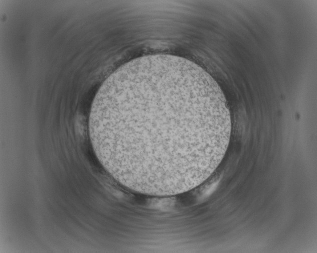 X0000078280135200612011753