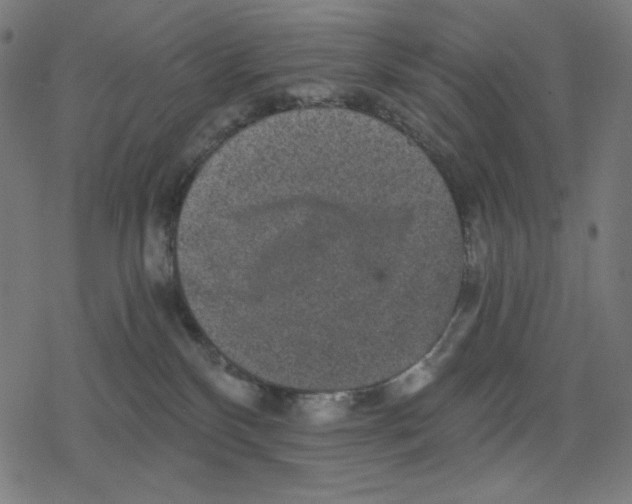 X0000078280136200612011753