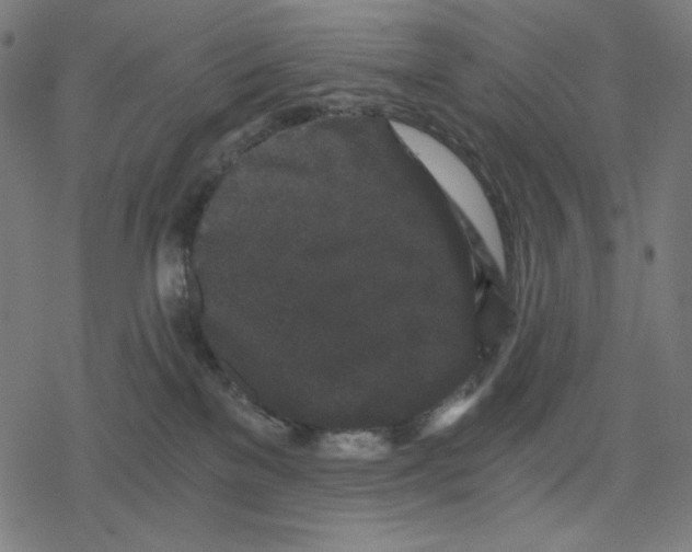 X0000078280137200612011753