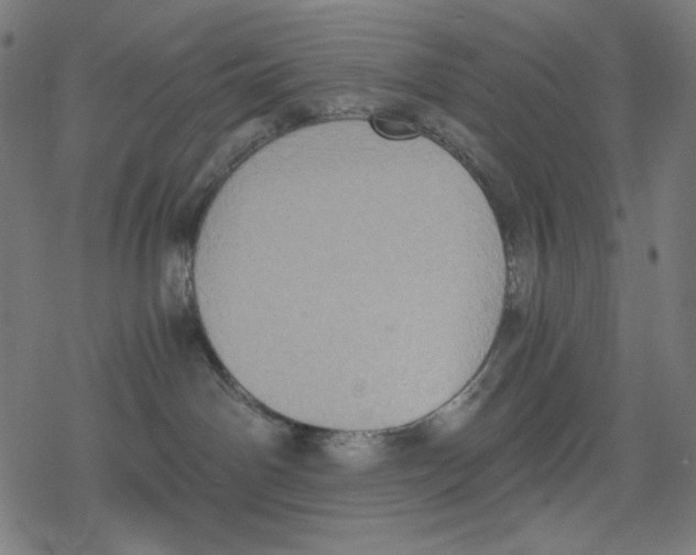 X0000078280142200612011753