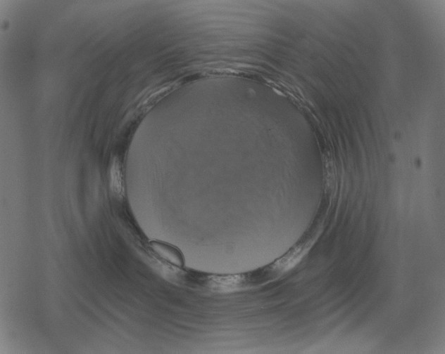 X0000078280143200612011753