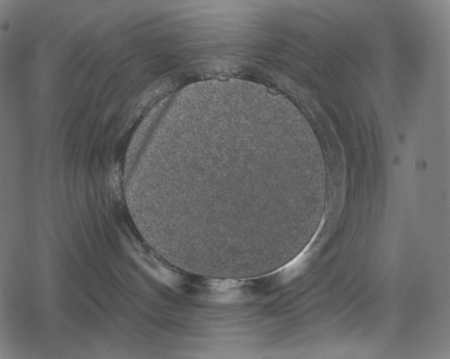 X0000078280144200612011753